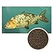 Produktbild ULTRA KOI - Premium Futter SCHWIMMEND für Kois und Teichfische -- Alleinfuttermittel für Fische Koifutter, Fischfutter Aquarium und Gartenteich - Palettes Granulat - Ganzjahresfutter- (4,5mm, 3 kg)