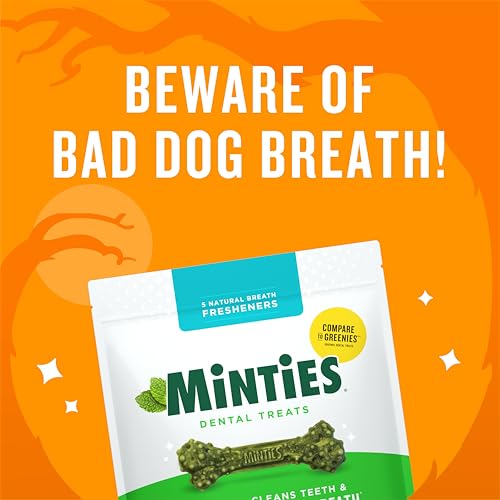 minties dental chews for dogs 60 count vet-recommended mint-flavored treats for medium dogs 25-50 lbs bones clean teeth fight bad breath and removes plaque and tartar