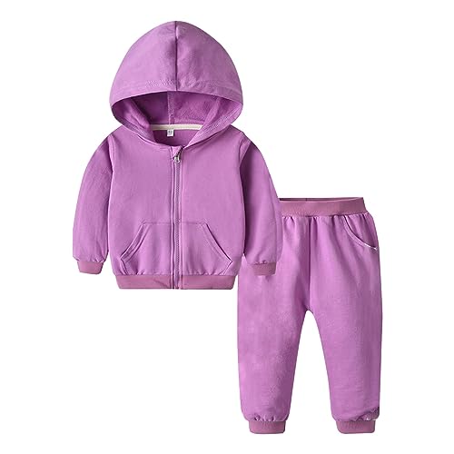 Toddler Girls Boys 2 Piece Tracksuit Full Zip Hoodie Sweatshirt Jogger Sweatpants Fall Winter Solid Athletic Sweatsuits Sets
