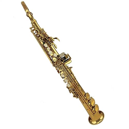 vtFbVi TbNX Sҗp ^J{fB S[hbJ[ Xg[gTbNX P[XEtit