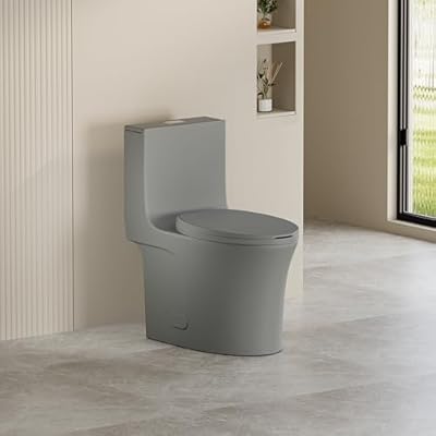 ChicFurnit One Piece Toilet Dual-Flush 1.1/1.60 GPF with Soft Closing Seat, Water-Saving Elongated Toilet, Comfort Height, 1000 Gram Map Flushing Score Toilet, Floor Mounted,Gray