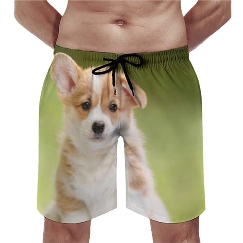 Shorts de bain homme mignon corgi pour éviter l'inconfort d'un maillot mouillé grâce au séchage rapide