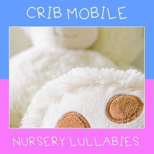 Amazon Music Bedtime for Baby, Baby Songs Academy, Baby Lullaby