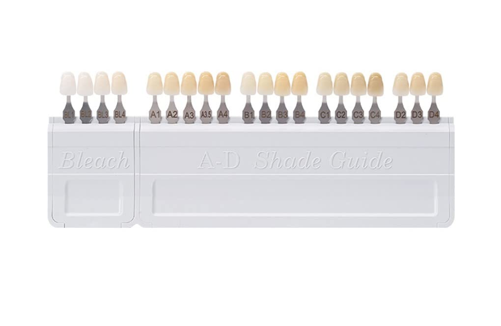Porcelana AD Guida Colori Denti Dentali 20 Colori
