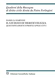 Giudizio Di Mieritevolezza - 2