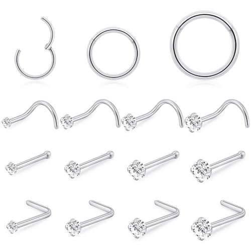 Stainless Steel 20G 18G Nose Rings Hoop and Nose Studs Sets Piercings Jewelry for Women and Men Hinged Clicker Segment Nose Rings Hoop Helix Cartilage Daith Tragus Sleeper Earrings