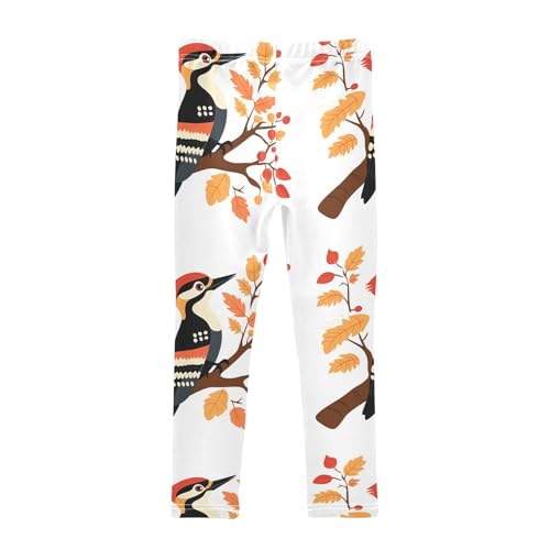 Girls Leggings Woodpecker Bird Toddler Girls Clothes Leggings for Girls Toddler Girls Leggings 3-4T2