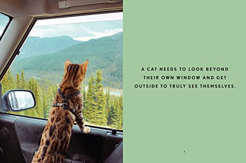 Travels of Suki the Adventure Cat