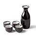 KBNI 5-Piece Japanese Sake Set Sky Blue Rim include 1PC Sake bottle and 4PCS Sake Cups