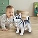 Imagen de Xweptuy Animal de Peluche de Husky Siberiano