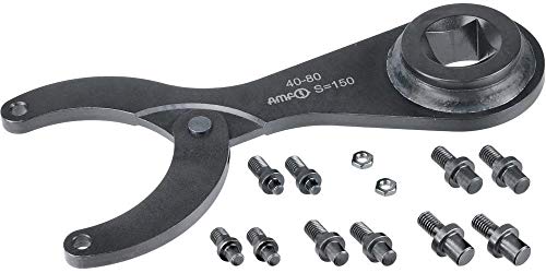 AMF 517938 Hinged Pin Wrench Set with Torque Socket, Black, 40-80 mm
