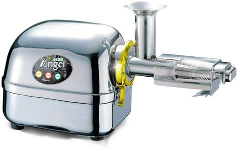 NEW Angel Juicer Angelia Ang-12000 Stainless Steel Juice Extractor Double Gear