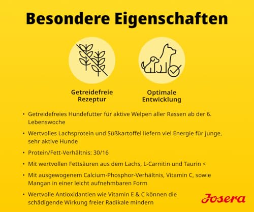 JOSERA Junior High Protein Seefisch (1 x 12,5 kg) | Premium Trockenfutter aktive Hunde ab der 6. Lebenswoche| Lachs & Süßkartoffel | getreidefrei & proteinreich | L-Carnitin & Taurin | 1er Pack