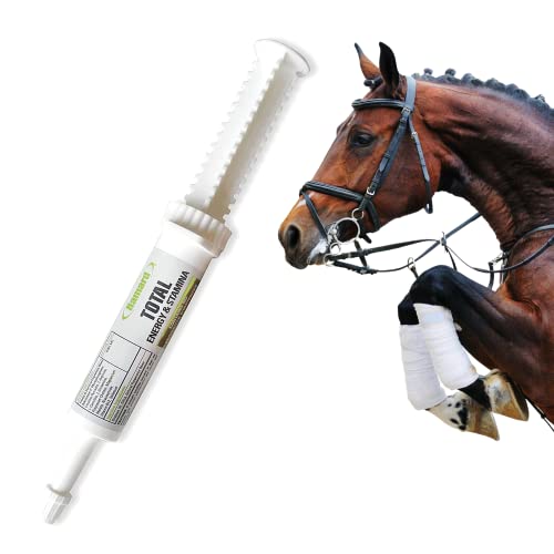 Ramard Total Energy and Stamina Support with B Vitamins & Amino Acids, Maximizes Oxygen Capacity, Peak Performance in Competition or Workouts, Powerful Vasodilator, Oral Gel, 15 cc Syringe, 1-Pack