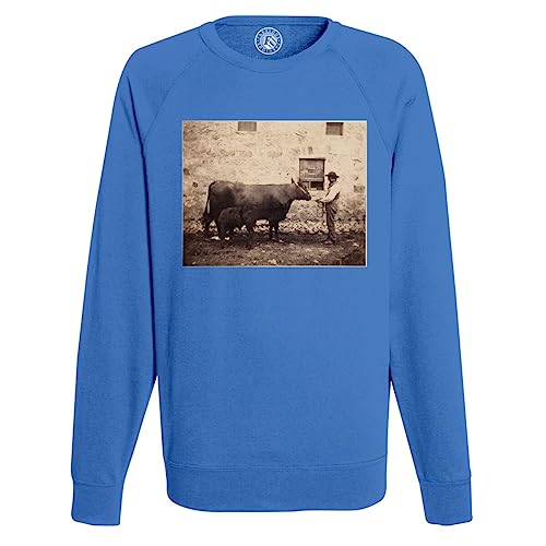 Sweatshirt Boeuf et Veau imprimé vieille photo pour nostalgiques du terroir