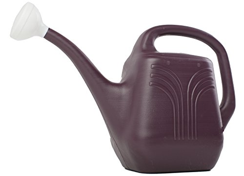 Bloem Living JW82-56 Watering Can, 2-Gallon, Exotica