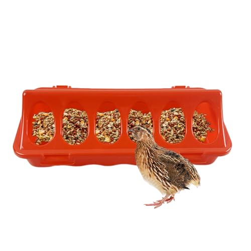 Distributeur de Nourriture pour Volailles | Mangeoire et Abreuvoir pour Cailles et Poussins,Bac Perforé pour Ferme Extérieur et Maison – Volaille Canards Cailles Poules