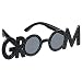 Groom Sunglasses
