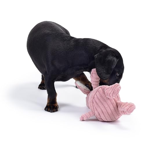 Zappi Co Rosa Lamm Plüsch Hundespielzeug mit Quietscher – Weiches, langlebiges Design, gerippt für Spielspaß. Ideal für kleine/mittelgroße Hunde.