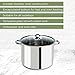 Ecolution Stainless Steel Stock Pot, Encapsulated Induction Ready Cooking Pot with Glass Lid, Oven Safe, Dishwasher Safe Soup Pot, 8-Quart