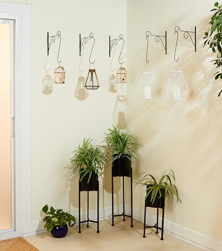 Image of Amazon Brand - Solimo Metal Long S Hooks| for Hanging Plant Basket /Lanterns /Outdoor Bird Feeder House | Metal Hooks for Home /Patio Decor| 10 Inch |5mm| Set of 5| Black