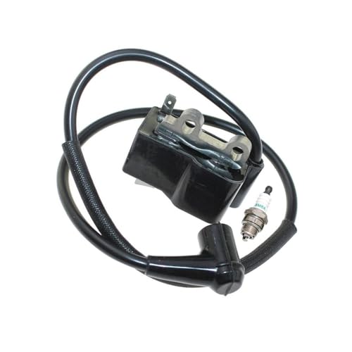 Module d'allumage PB-500T A411001460 pour réparer un problème de démarrage