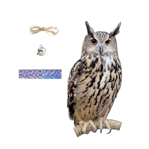 haoyunjianjiak 悯 JX悯 h  bQ΍ tNE ӂ낤 Њd 쏜 c  Ő ʎ ƒ؉ _앨Qh~ (x + 60cm[v + 60cm[U[{,X^C1)