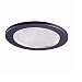 Cooper Lighting 951TBZS 4-Inch Trim Lensed Showerlight, Tuscan Bronze Trim with Glass Lens