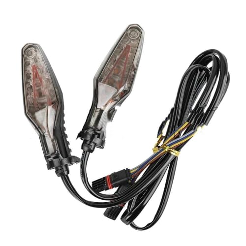 Feu arrière moto LED avec clignotants pour R1200GS et F900R