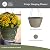 The HC Companies 11 Inch Wrapt Hanging Planter - Lightweight Outdoor Plastic Hanging Basket for Plants, Herbs, Flowers, Pepperstone