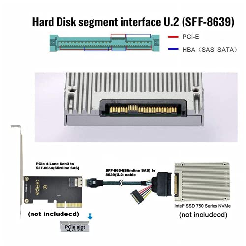 chenyang Cable PCIe 4.0 SFF-8654 a SFF-8639 con Audio SATA 0.5m miniatura 4