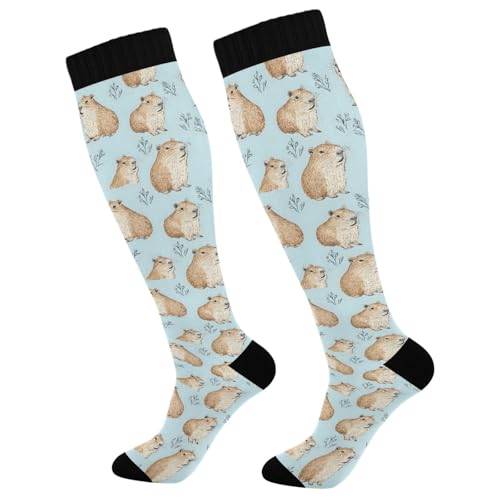 ALAZA Capybara Blue Cartoon Compression Socks for Women Men Circulation Long Socks Running Athletic Cycling 2 pair