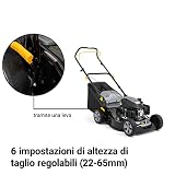 ALPINA AL5 46 SA Self-propelled petrol lawn mower with 139cc engine - 46cm cutting width, 60L collector - 5