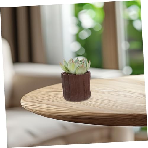 Pots de fleurs plastique pour créer un mini jardin de balcon rustique - 7