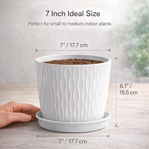 Image of Eightiz (Pack of 5 6 Inch Plastic Flower Pots for Indoor & Outdoor Terrace,Garden Plants Decorative Planters with Drainage Holes & Matching Saucers Durable & Lightweight (White)