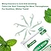 Holy Rose Twin Line Dental Floss Picks - 300 Count Pack, for Adults Flossers,Mint Flavor, Dual-Action Cleaning Teeth, Flossing Sticks Toothpicks Oral Tool Kit
