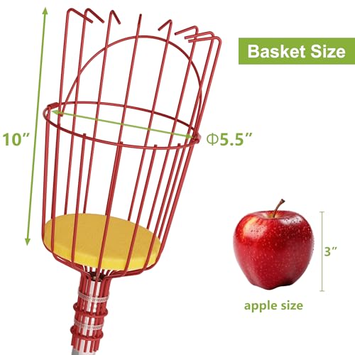 Recolector de frutas 17 Imagen adicional
