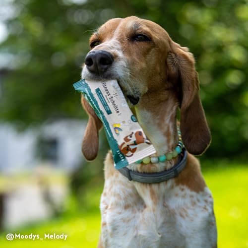 Sammy´s Fitness-Schnitte mit Grünlippmuscheln & Lachsöl | Hundesnack mit viel frischem Fleisch | Riegel to-go |1 x 25 g