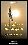 villaverde teelichter  La vida en un suspiro