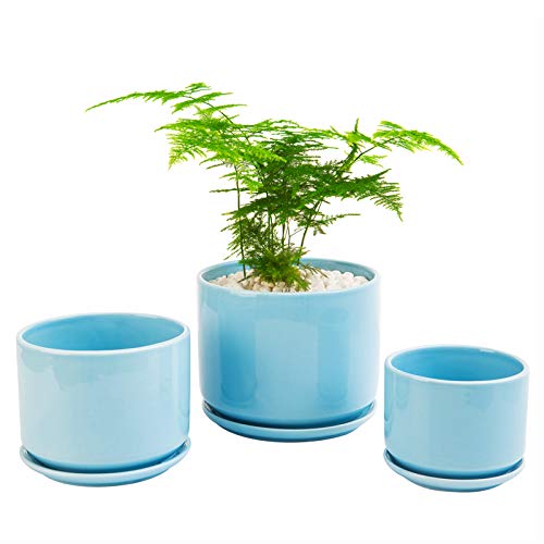 EFISPSS Plant Pots, Flower Pots Planters with Connected Saucer, Round Modern Decorative Succulent Gardening Pot with Drainage Hole for Plants Flowers Herbs - Set of 3 (Blue)