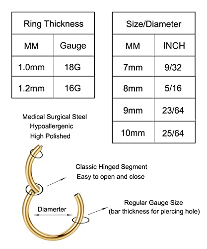 Loayhoay 24Pcs 16G 18G 316L Stainless Steel Cartilage Hoop Earrings For Men Women Helix Tragus Daith Lobe Hoop Sleeper Earrings Hinged Clicker Segment Nose Rings Hoop Septum Lip Ring Conch Piercing Jewelry 7Mm 8Mm 9Mm 10Mm #TOP2