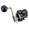 ダイワ ダイワ DAIWA ソルティガ IC 300 右 2021 年 モデル