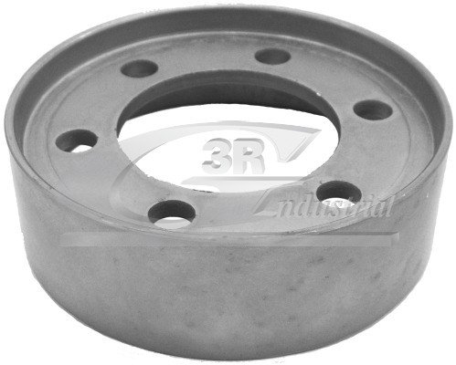 3RG INDUSTRIAL - Polea Bomba Agua- OEM 8200689693 7700735311 7700101054 - Piezas para Coche Recambios Motor y Otras Partes de Vehículo.