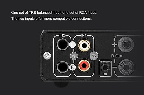 Image of Topping PA5 II Speaker Amplifier Compact Desktop Amplifier Fully Balanced AMP (PA5 II Plus, Silver)