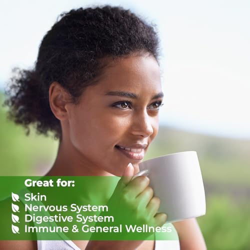 Image of 4 oz. Catnip Tea Catnip Herb Tea (Nepeta L.) - 113g Cat Nip Herb Hierba Gatera