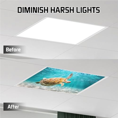 Image of 2 Pack Fluorescent Light Cover for Ceiling Light -Swimming Turtle Magnetic Light Covers Classroom, Light Filters Drop Fluorescent Light Shade Panel for Office Home School,4 x 2 Ft