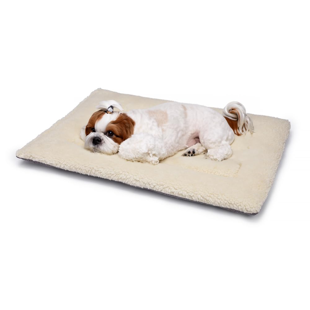 British Wool Dog Bed for Dogs - Machine Washable Quilted Cage Pad with Tweed Base, Luxurious XSmall Dog Bed (60x45cm) - Made in England