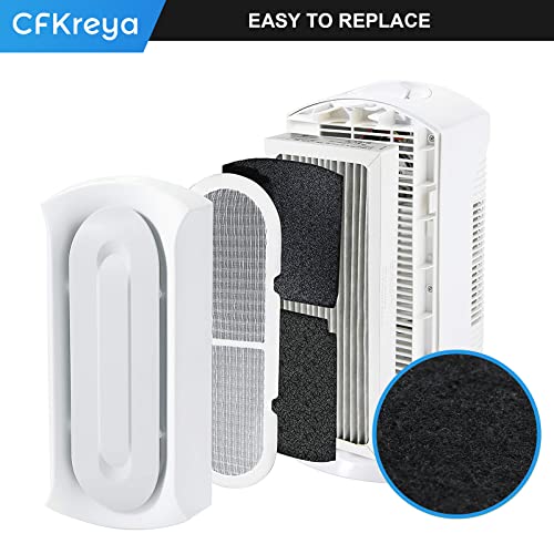 Filtre à charbon actif compatible Hamilton Beach Trueair 04531GM 04384
