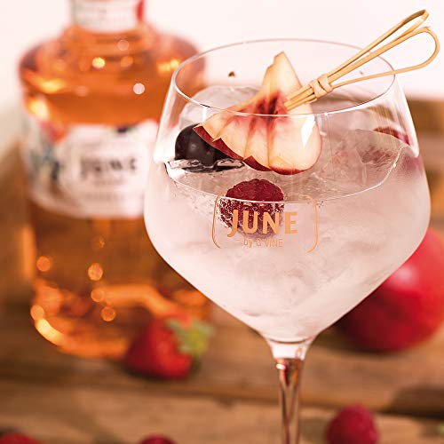 G‘Vine June Wildpfirsich- und Sommerfrucht Geschmack Gin Likör, 700 ml – Bild 6