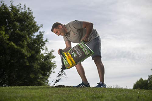 Floragard 4 in 1 Rasen-Fit 2x20 L für 20 m² • Rasenerde • Rasensubstrat zur Neuanlage • zur Ausbesserung und Pflege des Rasens • zum Topdressing nach dem Vertikutieren